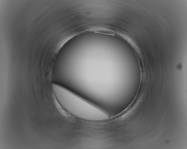 X0000093240905200709261527