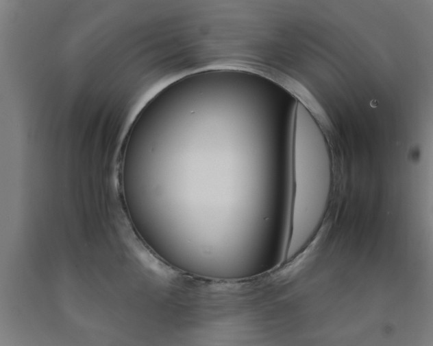 X0000093240908200709261527