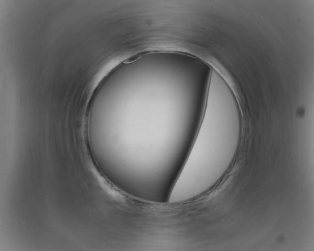 X0000093240909200709261527