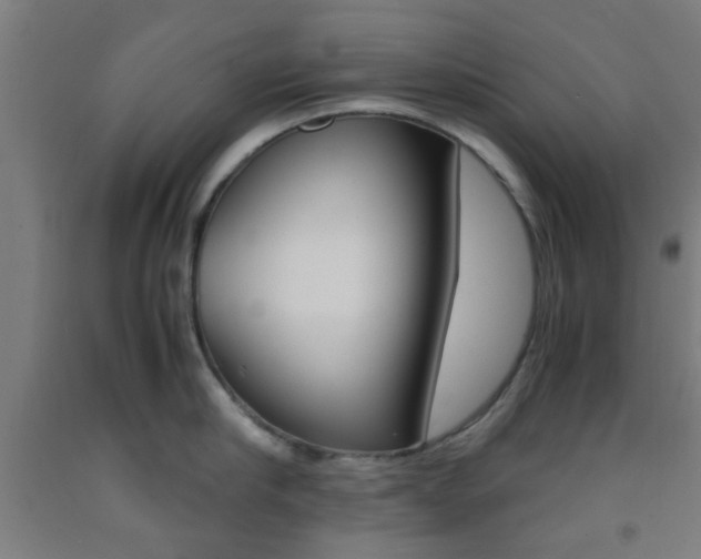 X0000093240910200709261527