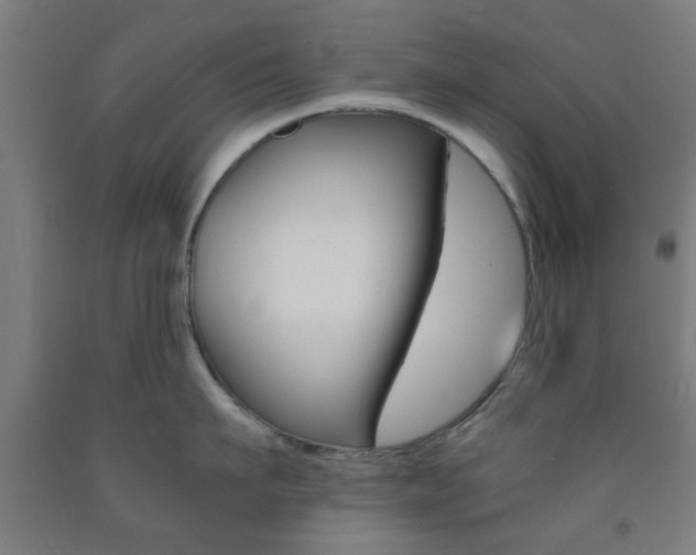 X0000093240911200709261527