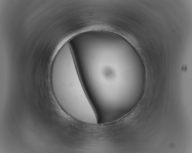 X0000093240912200709261527