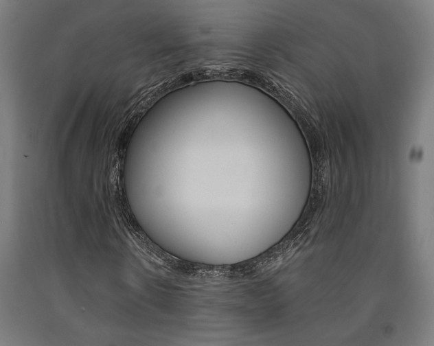 X0000093240914200709261527