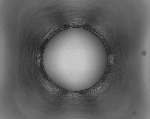 X0000093240915200709261527