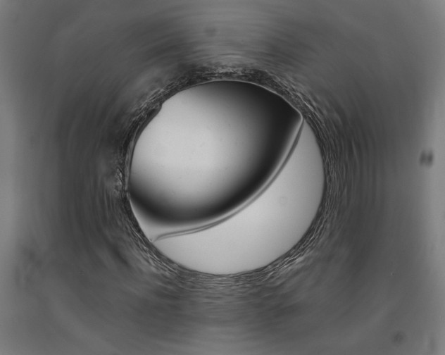 X0000093240916200709261527