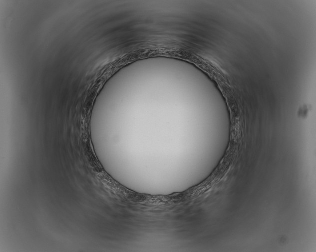 X0000093240917200709261527