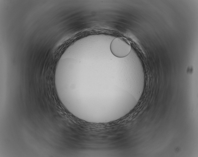 X0000093240919200709261527