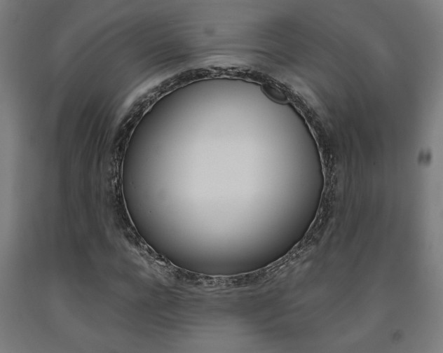 X0000093240920200709261527