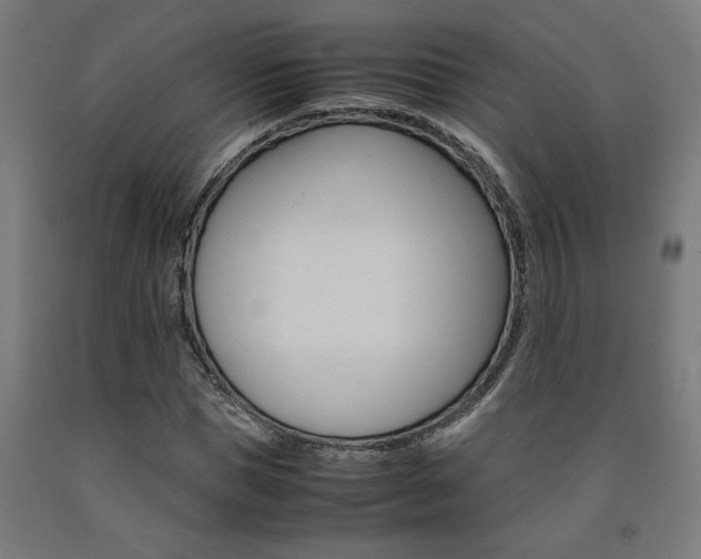 X0000093240921200709261527
