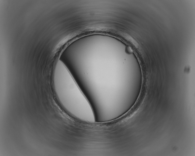 X0000093240922200709261527