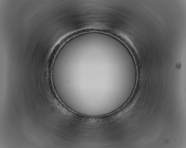 X0000093240923200709261527