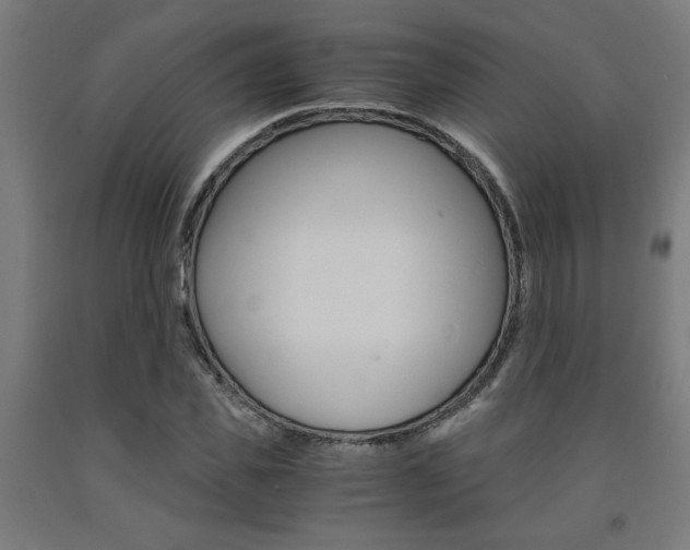 X0000093240925200709261527