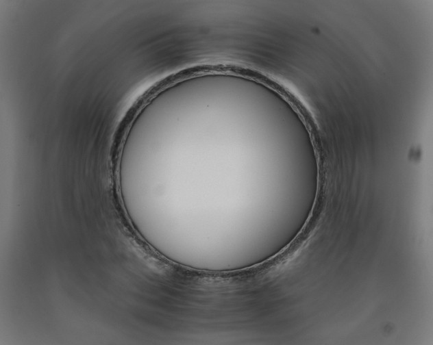 X0000093240927200709261527
