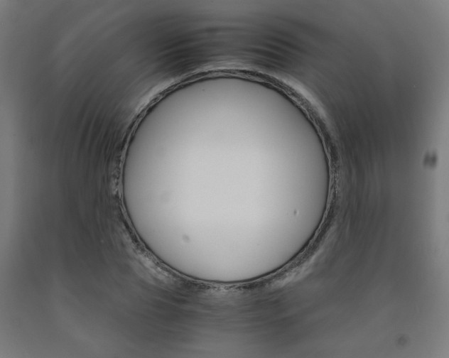 X0000093240929200709261527