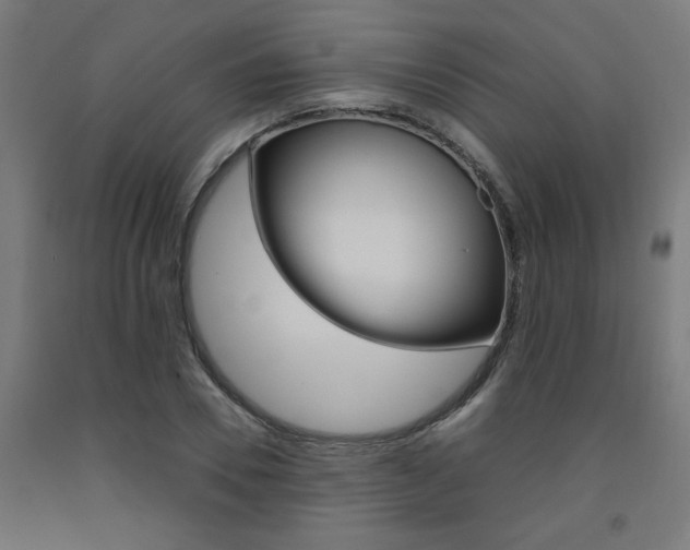 X0000093240930200709261527