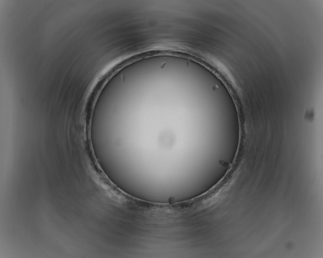 X0000093240931200709261527
