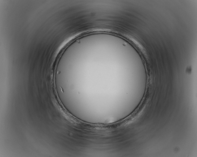 X0000093240933200709261527
