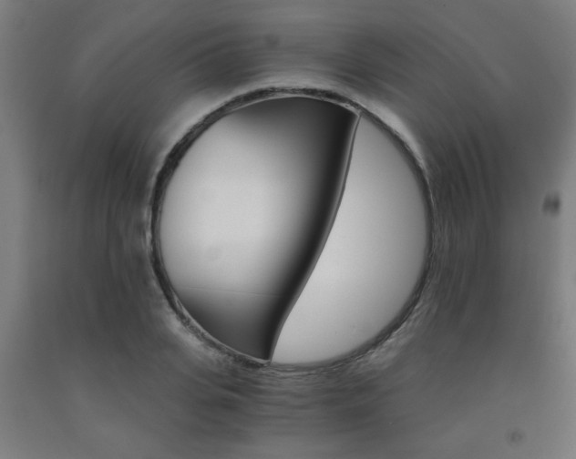 X0000093240935200709261527