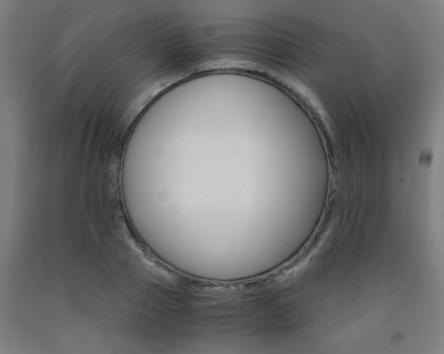 X0000093240937200709261527