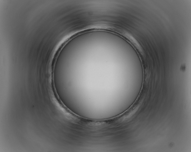 X0000093240939200709261527