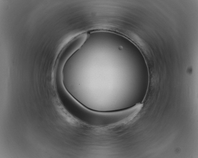 X0000093240940200709261527