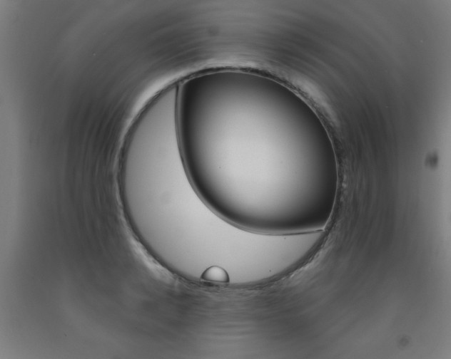 X0000093240942200709261527