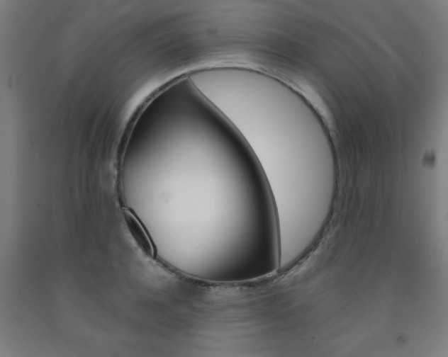 X0000093240944200709261527