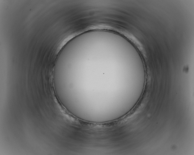 X0000093240945200709261527
