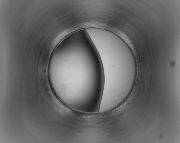 X0000093240946200709261527