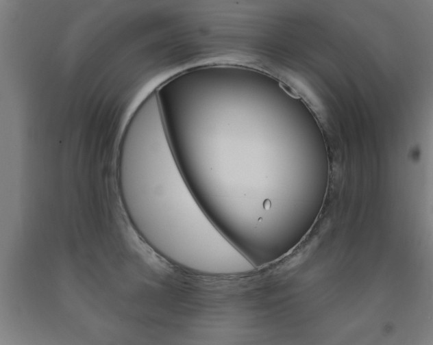 X0000093240948200709261527