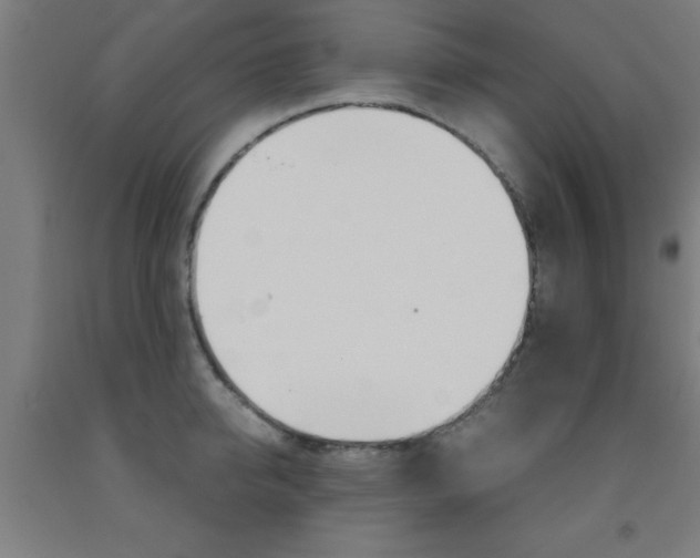 X0000093240950200709261527