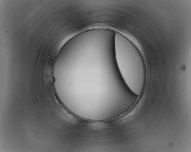X0000093240953200709261527