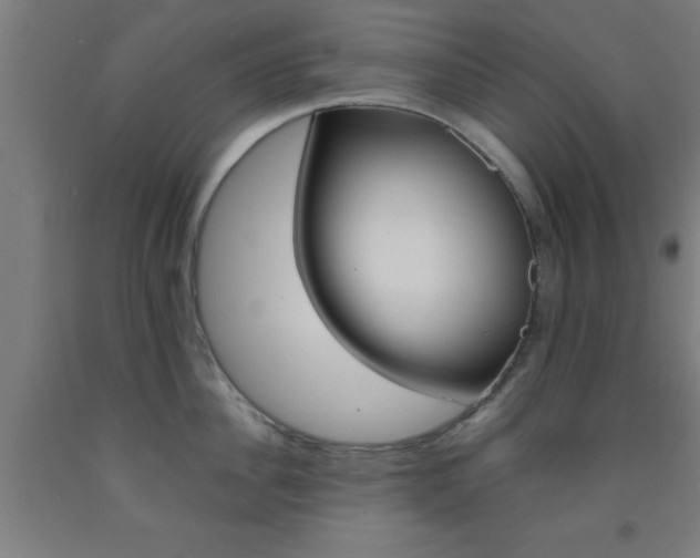 X0000093240956200709261527
