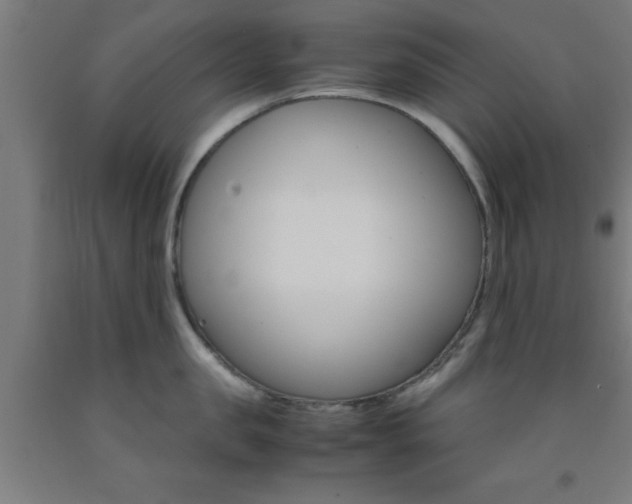 X0000093240957200709261527
