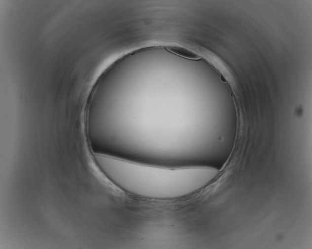 X0000093240958200709261527