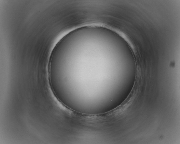 X0000093240959200709261527