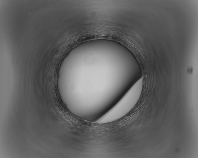 X0000093240961200709261527