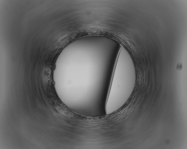 X0000093240964200709261526
