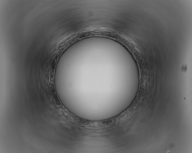 X0000093240966200709261526