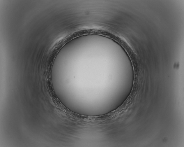X0000093240967200709261526
