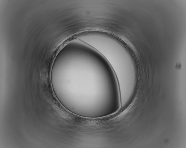 X0000093240969200709261526