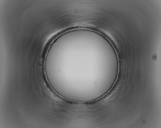 X0000093240971200709261526