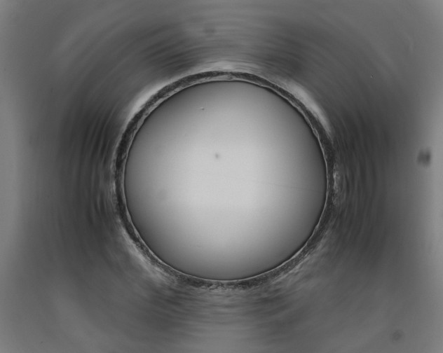 X0000093240972200709261526