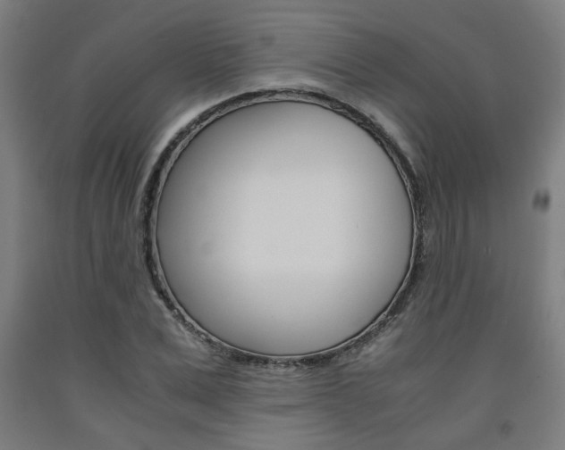 X0000093240975200709261526