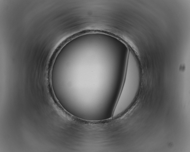X0000093240976200709261526