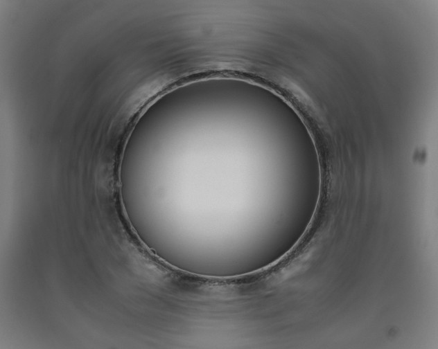 X0000093240977200709261526