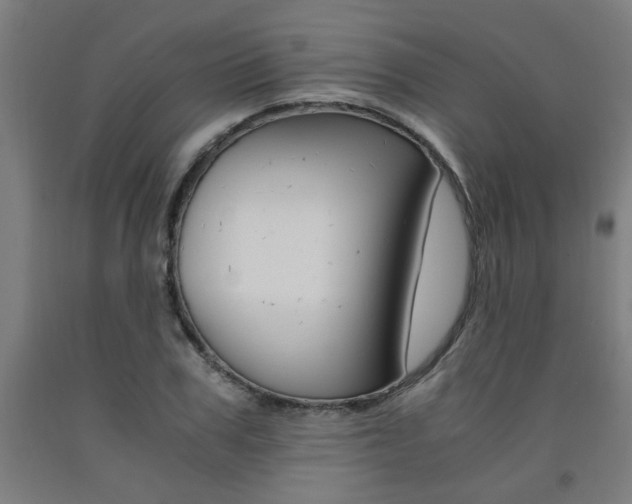 X0000093240979200709261526