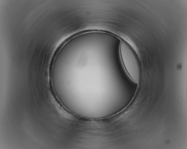 X0000093240980200709261526