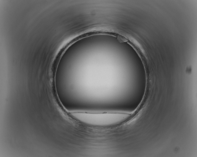 X0000093240981200709261526