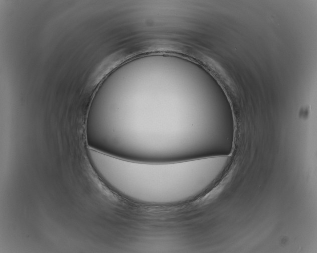 X0000093240985200709261526